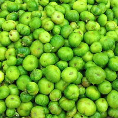 Garden Egg (Anara / Ganyen Gauta): The Low-Glycemic Index Vegetable Every Diabetic Needs in Their Kitchen