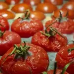 The Dangerous Risks of Consuming Half-Rotten Tomatoes {Èsà}